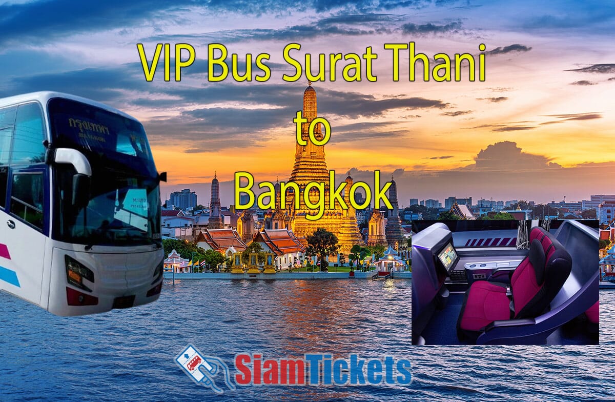 VIP Bus Surat Thani to Bangkok service featuring modern bus exterior, VIP seats, and Wat Arun temple backdrop